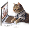 Cat Scratching Board