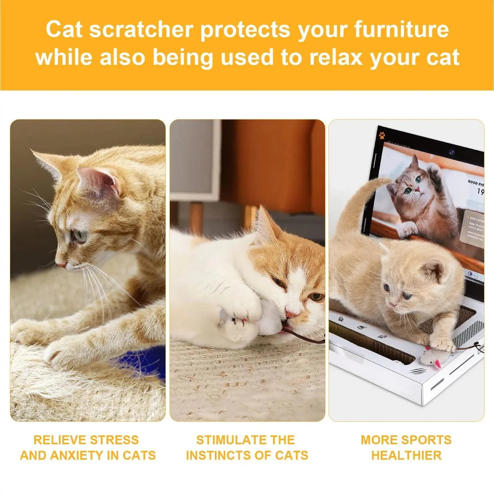 Cat Scratching Board