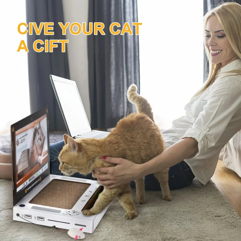 Cat Scratching Board