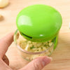 Kitchen Garlic Dicer
