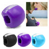 Jawline Exerciser
