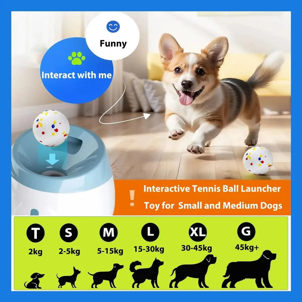 Automatic Ball Launcher