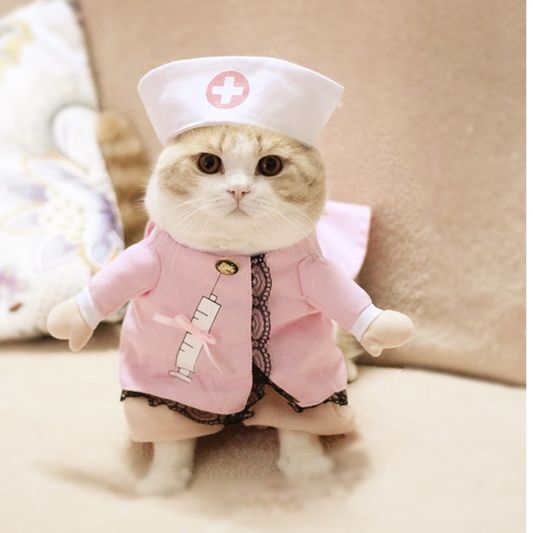 Cat wearing the Nurse Halloween costume