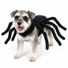 Halloween Spider Pet Costume