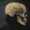 Halloween Skeleton Mask