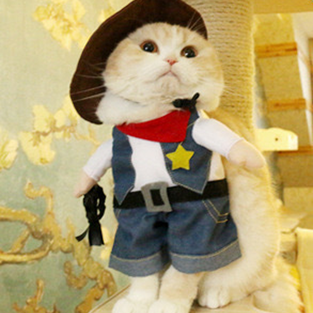 Cat wearing the Cowboy Halloween costume