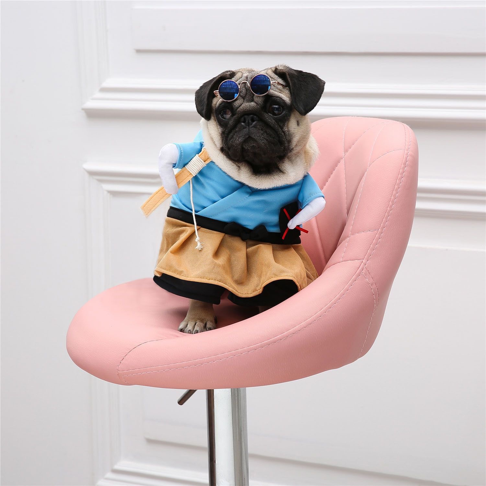 Pug wearing the Fisherman Halloween costume
