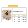 Lion Costume Hat for Pets