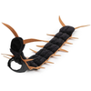 Centipede cat costume, Gold trim