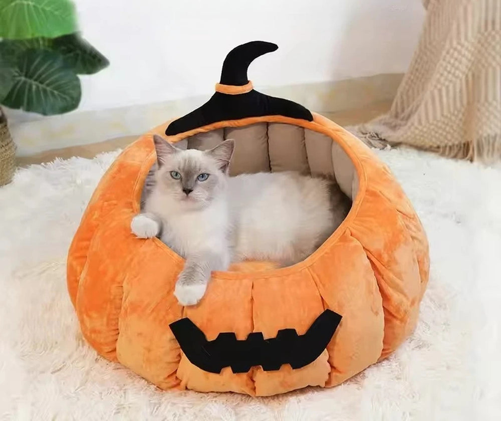 Pumpkin Cat Bed
