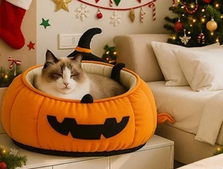 Pumpkin Cat Bed